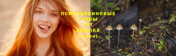 винт Белоозёрский