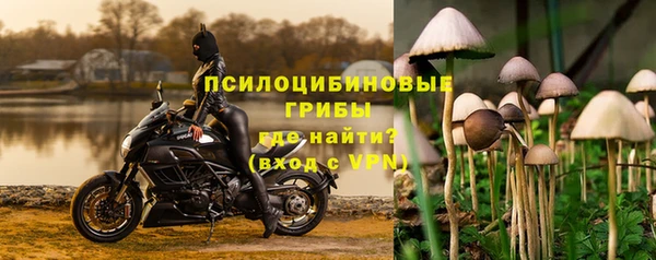 MESCALINE Белокуриха