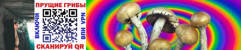 Псилоцибиновые грибы Psilocybine cubensis  как найти закладки  Горняк 